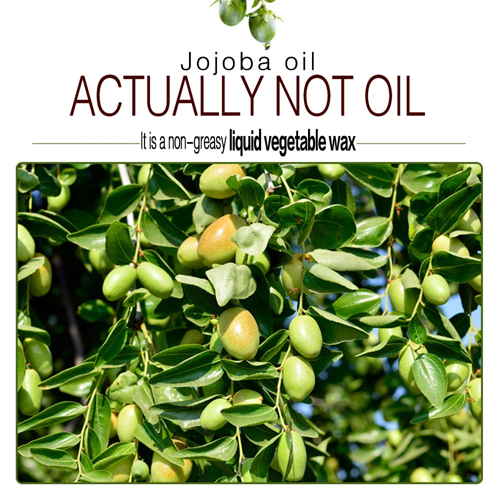 100% Pure Natural Jojoba Oil for Skin and Hair Repair 100ml