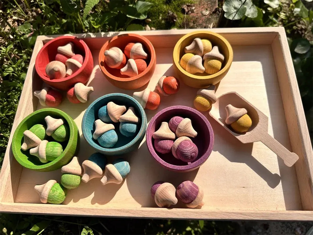 Rainbow Wooden  Blocks Loose Parts Toys Pastel Beech Acorns for Kids Open-end Play Calm and Class