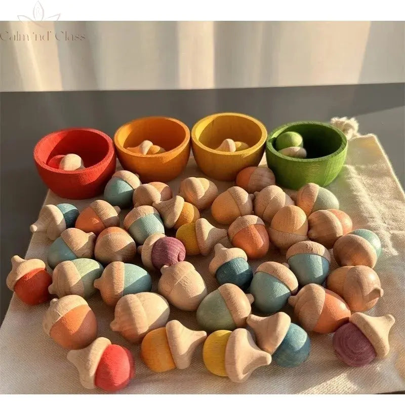 Rainbow Wooden  Blocks Loose Parts Toys Pastel Beech Acorns for Kids Open-end Play Calm and Class