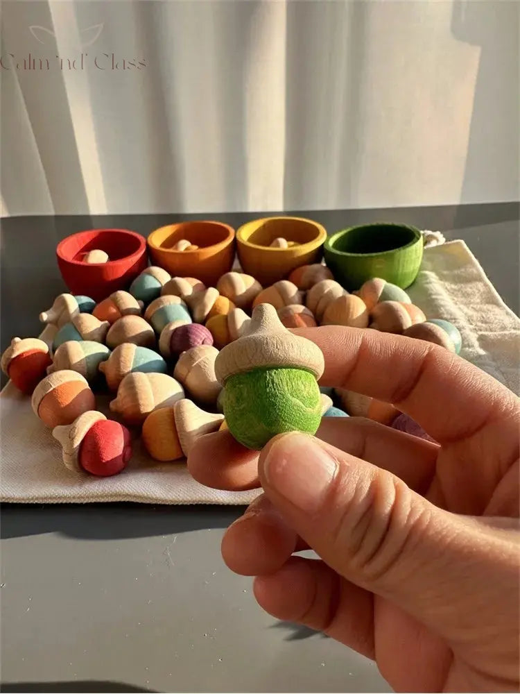 Rainbow Wooden  Blocks Loose Parts Toys Pastel Beech Acorns for Kids Open-end Play Calm and Class