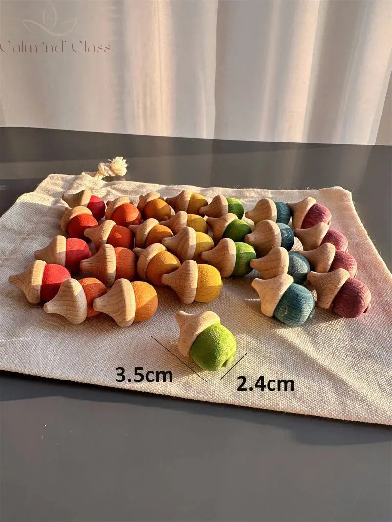 Rainbow Wooden  Blocks Loose Parts Toys Pastel Beech Acorns for Kids Open-end Play Calm and Class