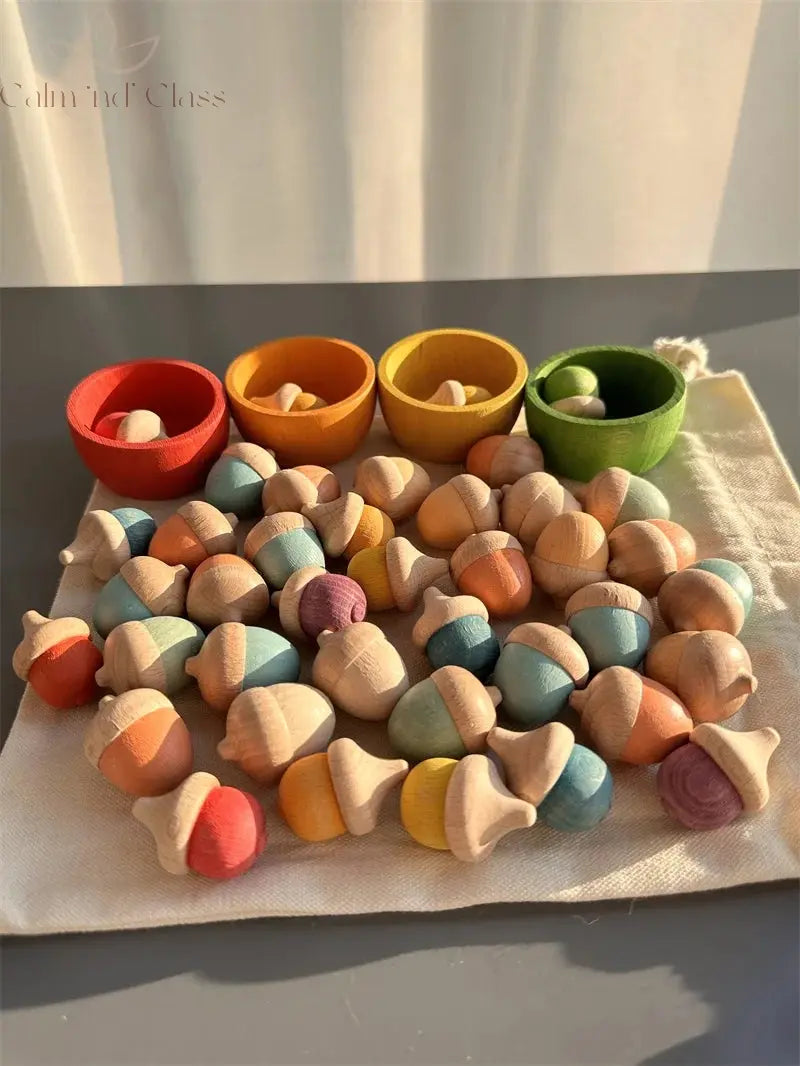 Rainbow Wooden  Blocks Loose Parts Toys Pastel Beech Acorns for Kids Open-end Play Calm and Class