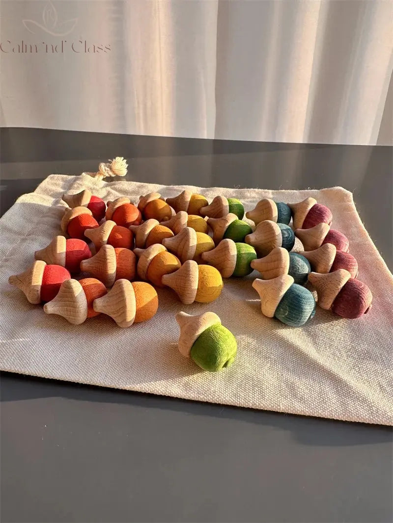 Rainbow Wooden  Blocks Loose Parts Toys Pastel Beech Acorns for Kids Open-end Play Calm and Class