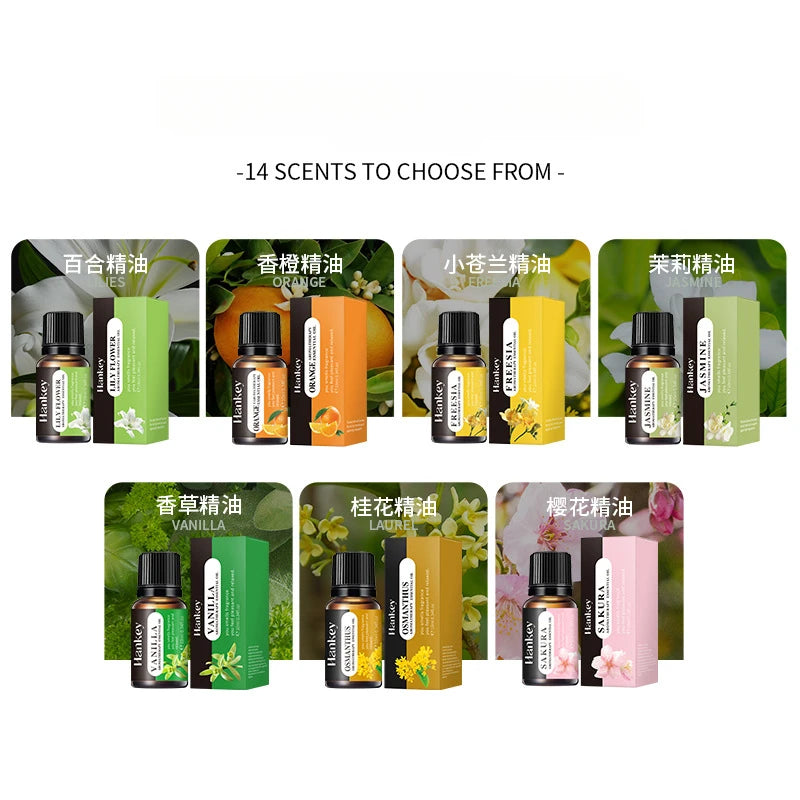 10ml Water-Soluble Aromatherapy Oil for Cozy Home Atmosphere