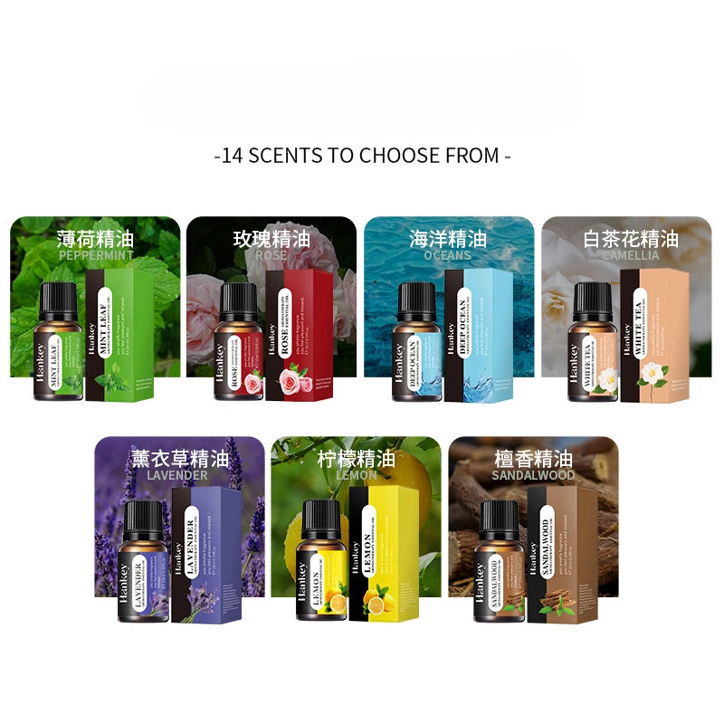 10ml Water-Soluble Aromatherapy Oil for Cozy Home Atmosphere