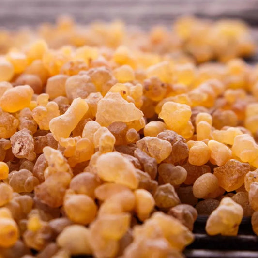 Frankincense Resin Organic Incense Boswellia Frereana