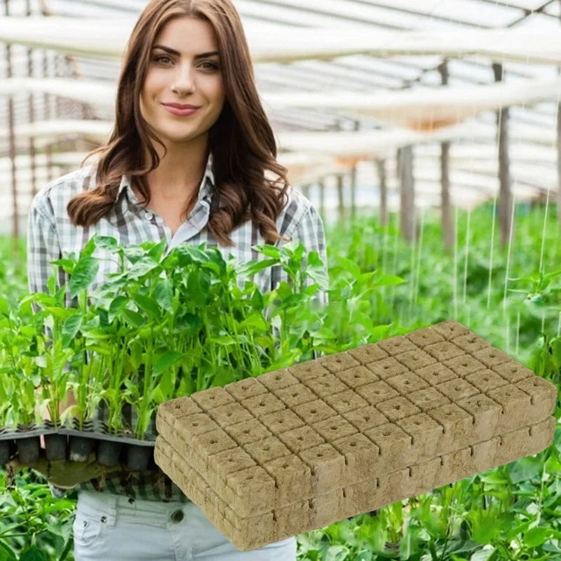 300/50Pcs Seed Grow Cubes Planting Sponge Rock Cotton Plugs