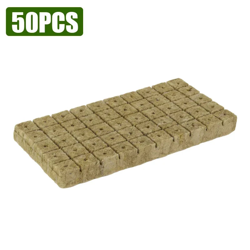 300/50Pcs Seed Grow Cubes Planting Sponge Rock Cotton Plugs