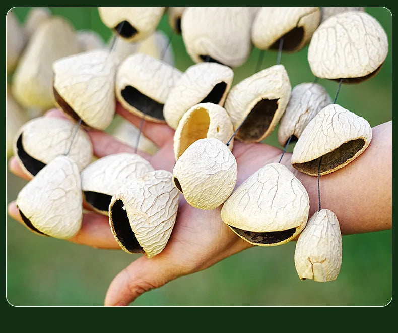 Hand Bells Natural Fruit Healing Sounds for Yoga Sound Therapy