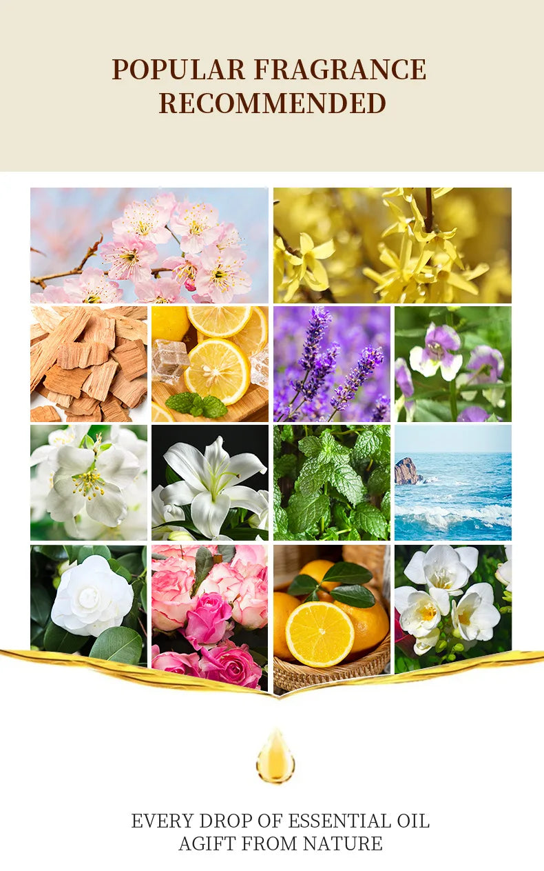 10ml Water-Soluble Aromatherapy Oil for Cozy Home Atmosphere