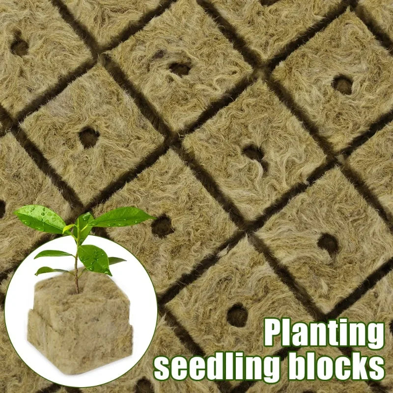 300/50Pcs Seed Grow Cubes Planting Sponge Rock Cotton Plugs