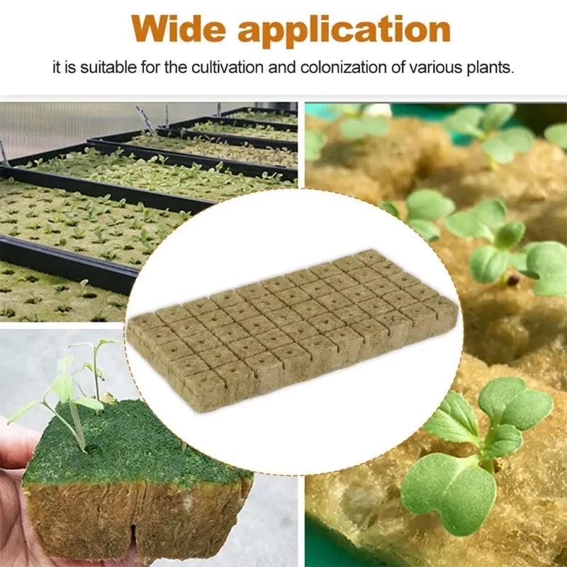 300/50Pcs Seed Grow Cubes Planting Sponge Rock Cotton Plugs