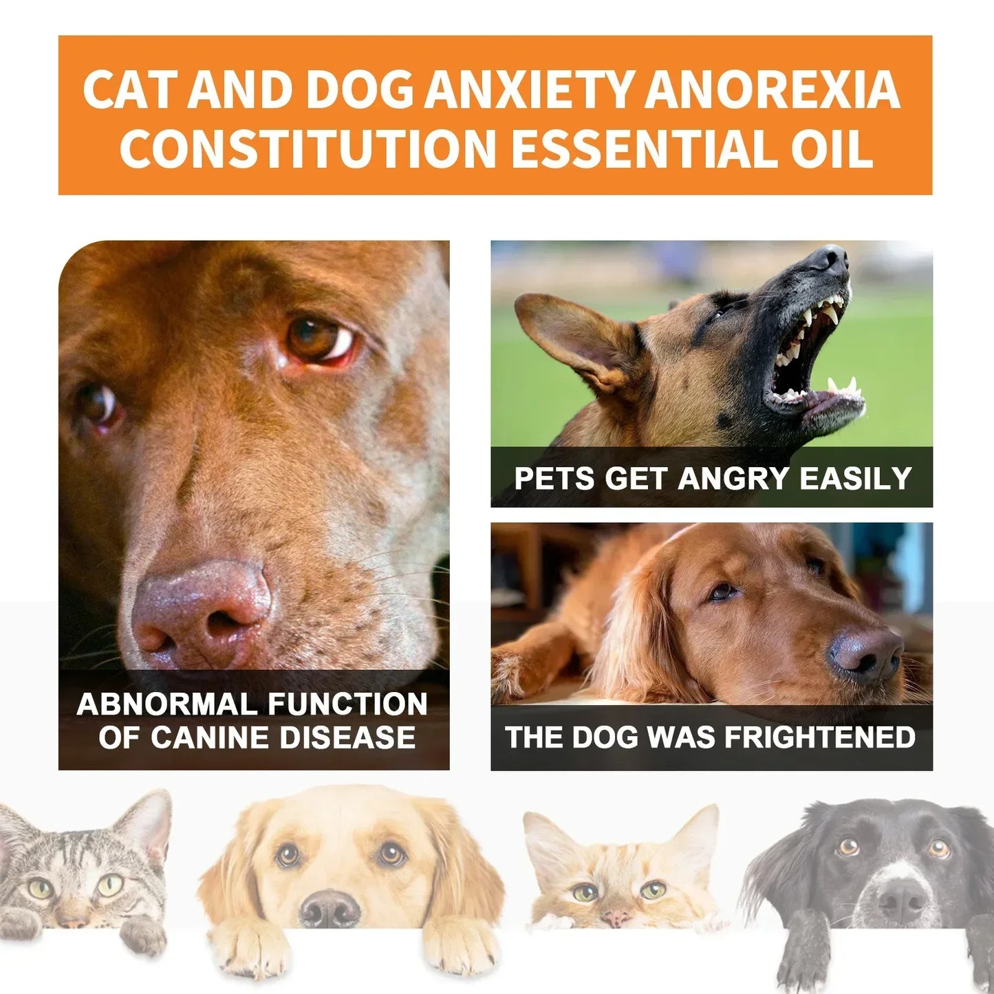 Natural Organic Calming Drops For Pet Anxiety Relief Blend