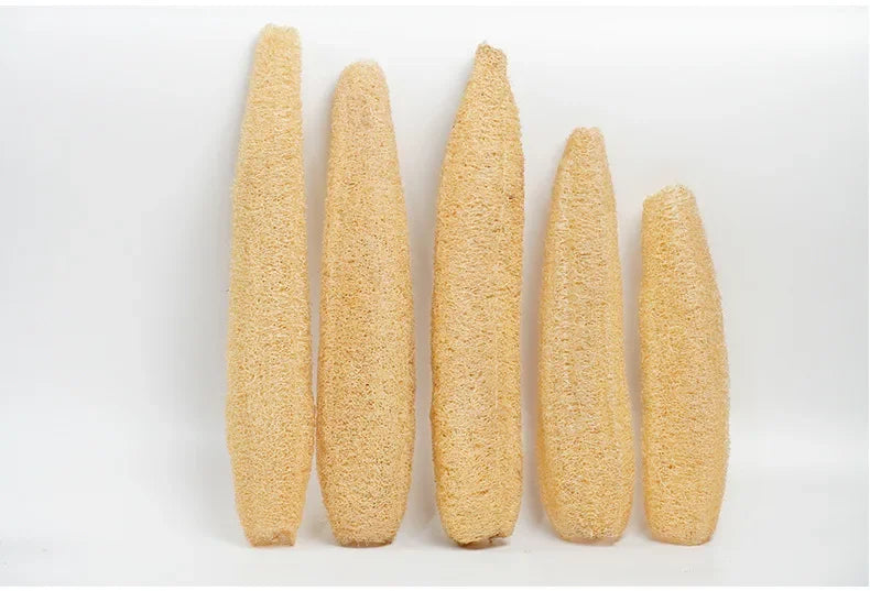 Whole Natural Organic Loofah Sponges for Exfoliating SPA Care