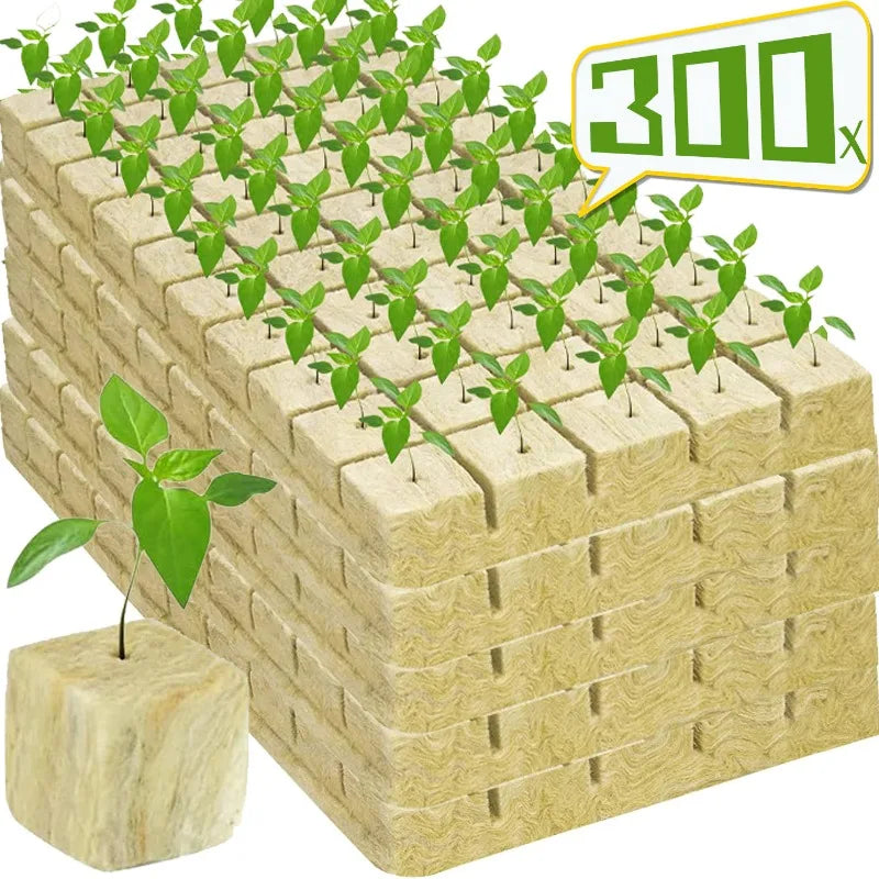 300/50Pcs Seed Grow Cubes Planting Sponge Rock Cotton Plugs