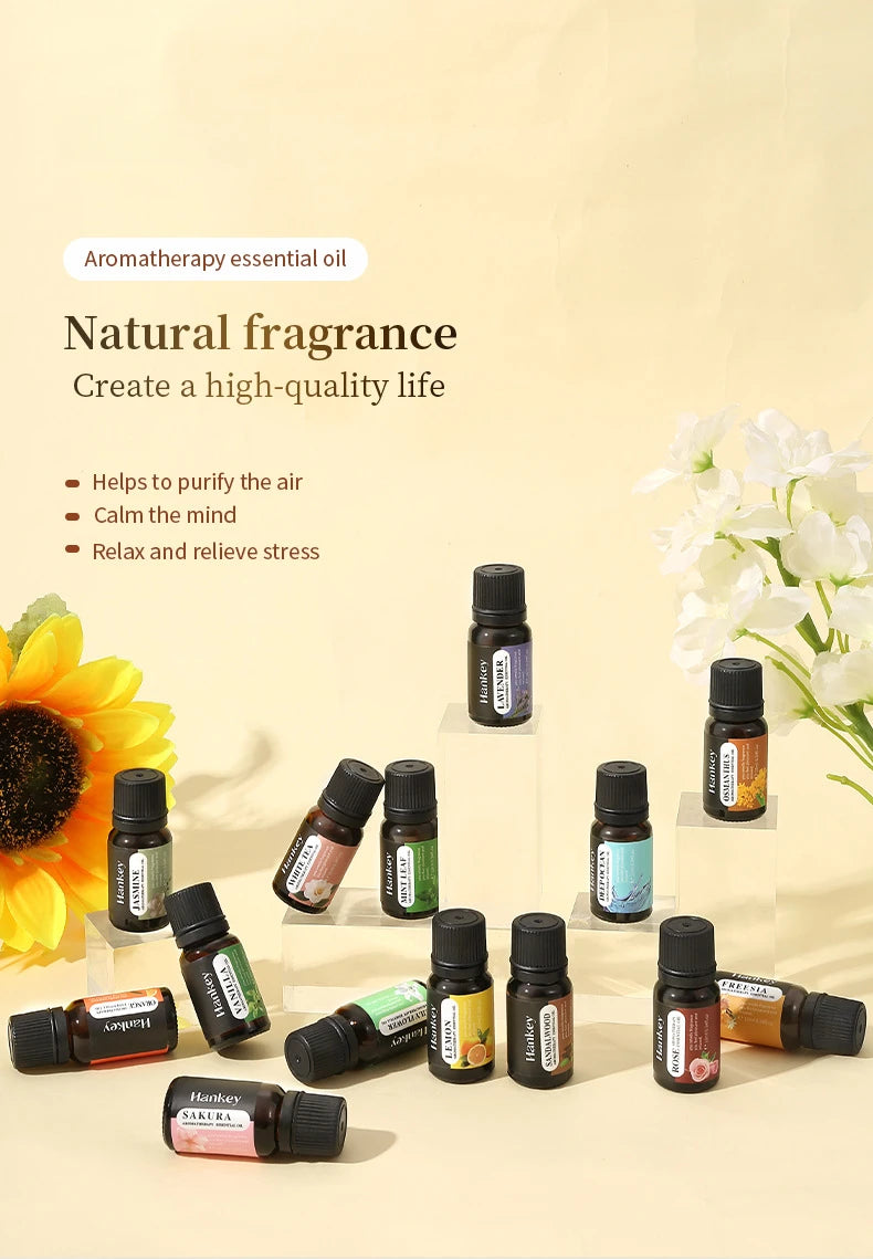 10ml Water-Soluble Aromatherapy Oil for Cozy Home Atmosphere