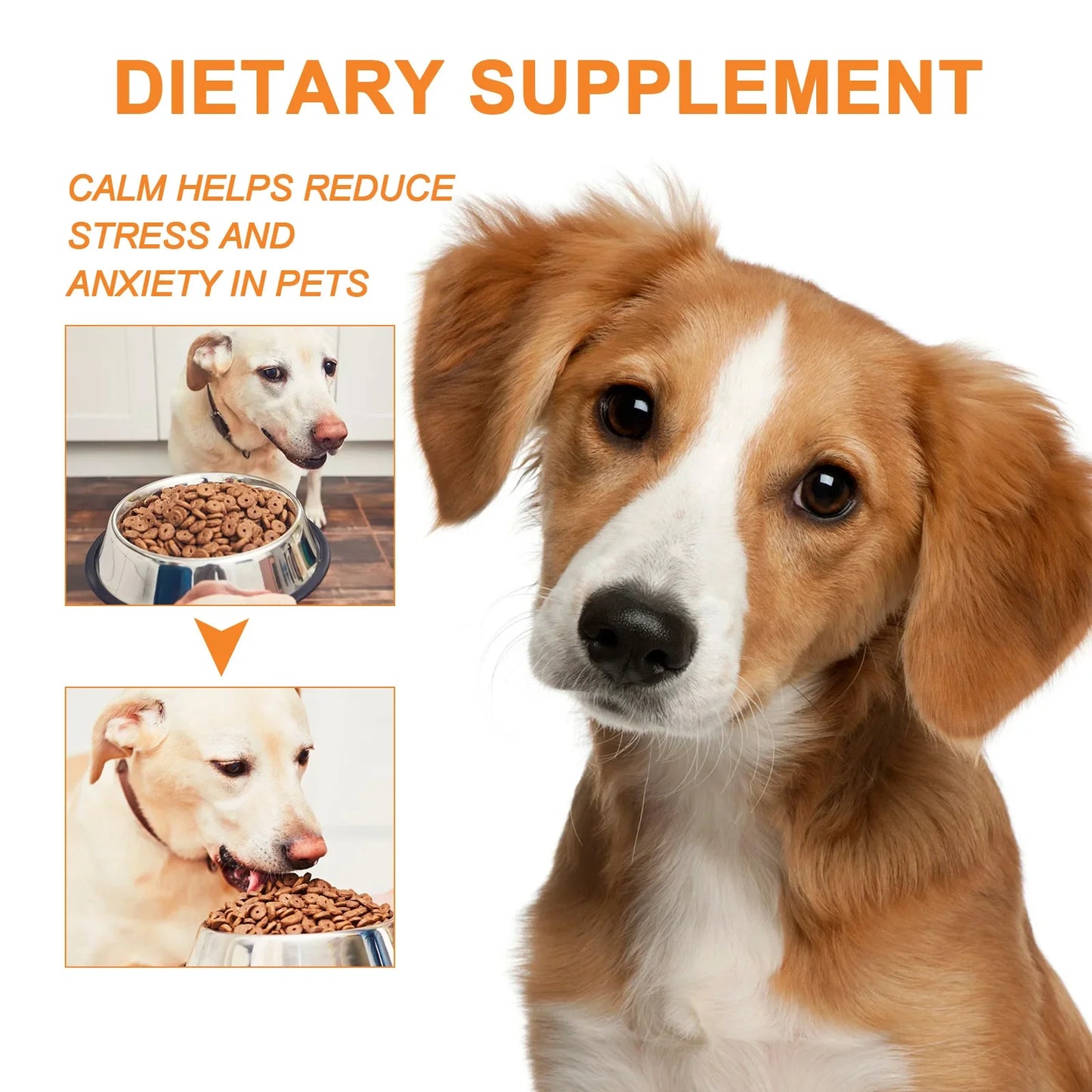 Natural Organic Calming Drops For Pet Anxiety Relief Blend