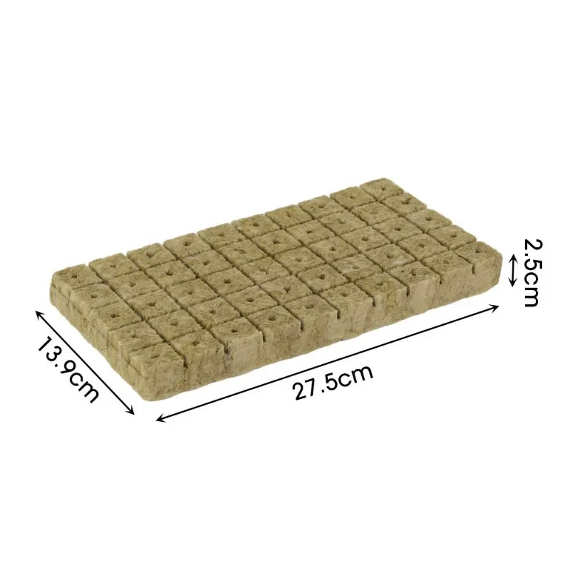 300/50Pcs Seed Grow Cubes Planting Sponge Rock Cotton Plugs